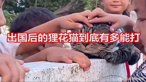 国产咪咪,引领时尚潮流的本土品牌新势力