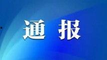 国产无吗在线,探索本土影视新风尚